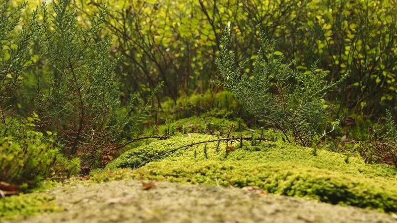 2026年最新「Udio」完全攻略！AIで誰もが作曲家になれる時代の楽しみ方と最新アップデート情報