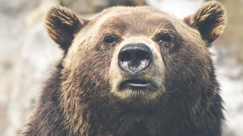 2026年最新「Udio」完全攻略!AIで誰もが作曲家になれる時代の楽しみ方と最新アップデート情報関連画像