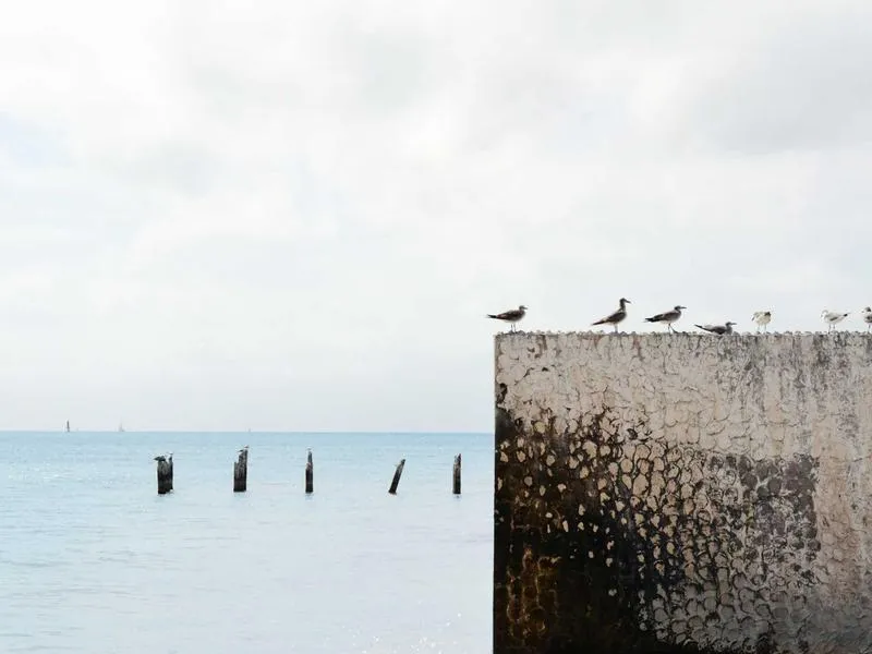 Claudeアイキャッチ