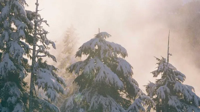 【2026年最新】Sunoで誰でも神曲が作れる？AI作曲の進化と驚きの活用術を徹底レビュー！