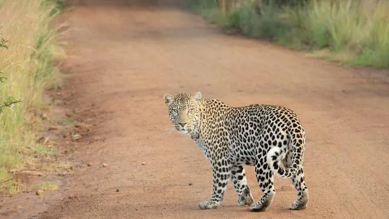 ググる時代はもう終わり？2026年最新のAI検索「Perplexity」を徹底レビュー！