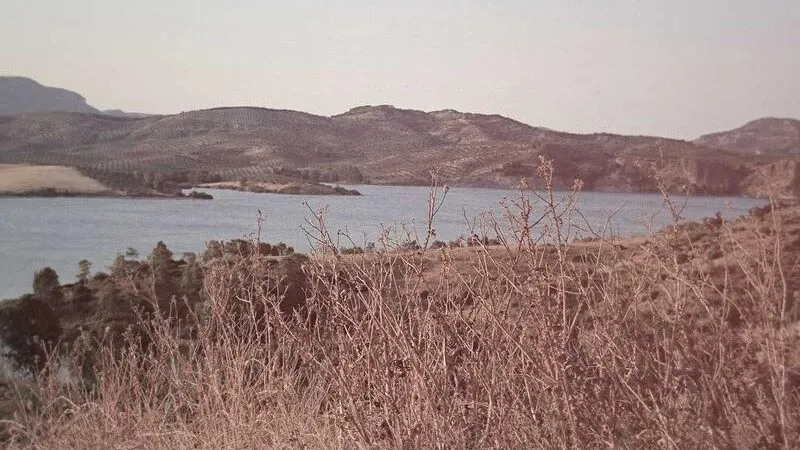 ググる時代はもう終わり？2026年最新のAI検索「Perplexity」を徹底レビュー！関連画像