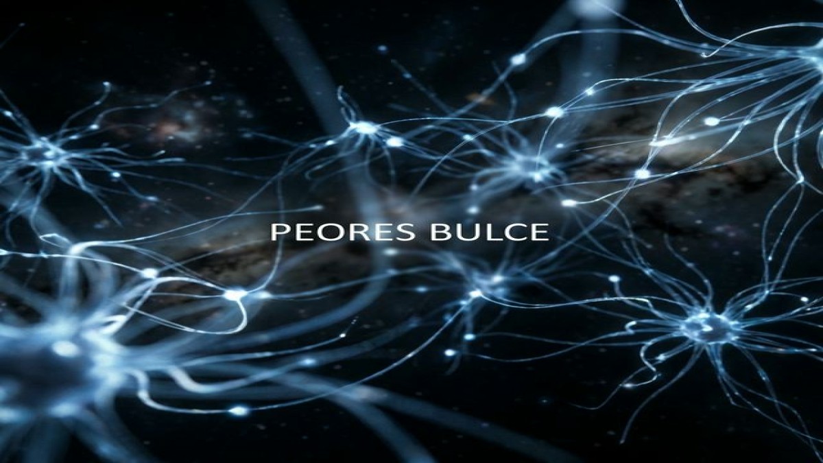 ElevenLabsの料金プラン：あなたに最適なプランの選び方